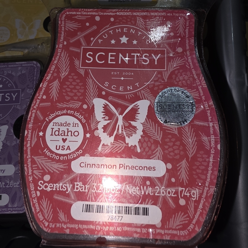 3/$21 New! Scentsy Cinnamon Pinecones Wax Bar